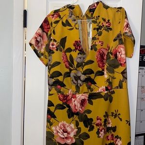 Ashley Stewart multi color dress